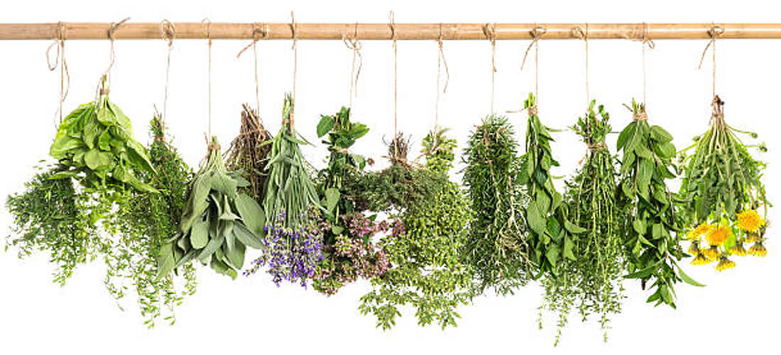 Cómo influye la alimentación en el desarrollo de la intuición