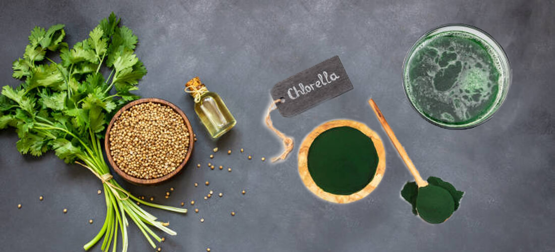 Cómo influye la alimentación en el desarrollo de la intuición