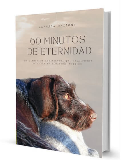 libro 60 minutos de eternidad vanessa mazoni