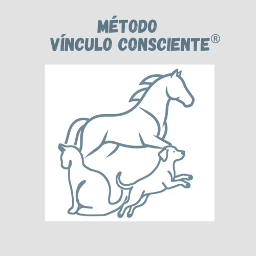 metodo vinculo consciente poder ancestral vanessa mazzoni